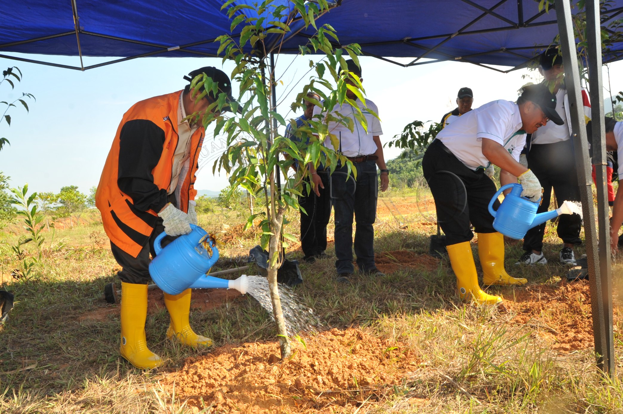 PRO 14 48 KARAS PRO 6685